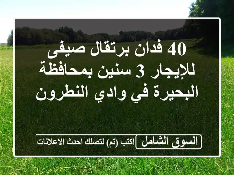 40 فدان برتقال صيفى للإيجار 3 سنين بمحافظة البحيرة...