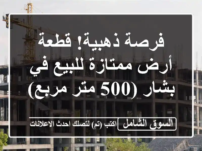 فرصة ذهبية! قطعة أرض ممتازة للبيع في بشار (500 متر مربع)