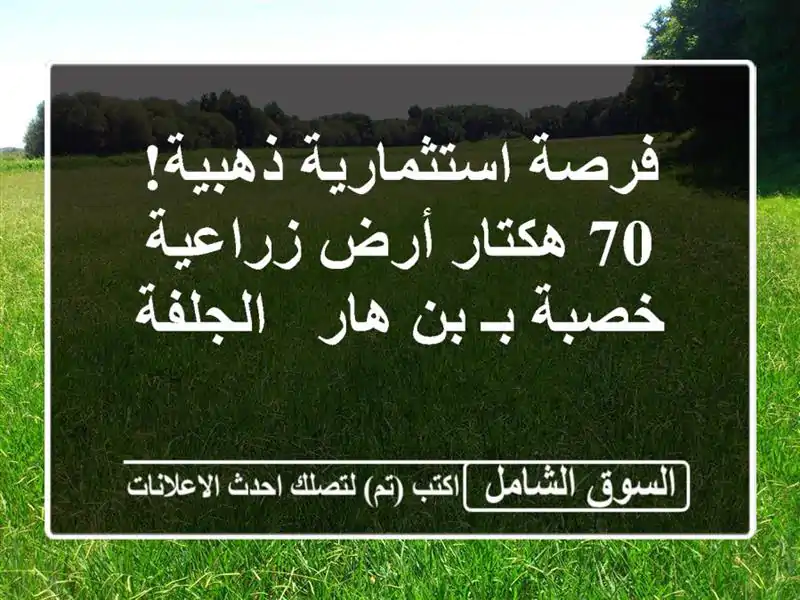 فرصة استثمارية ذهبية! 70 هكتار أرض زراعية خصبة بـ بن...