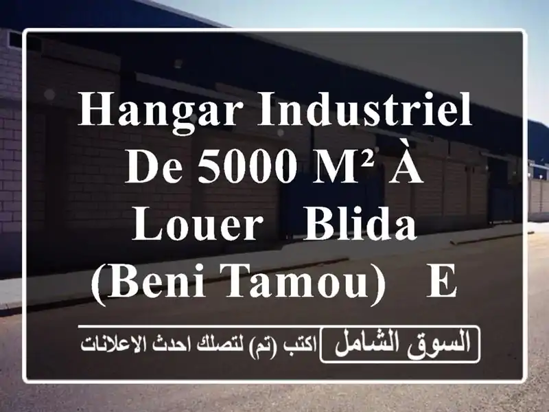 Hangar Industriel de 5000 m² à Louer - Blida (Beni Tamou) - Emplacement Stratégique!