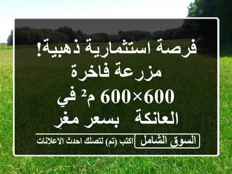 فرصة استثمارية ذهبية! مزرعة فاخرة 600×600 م² في العانكة...