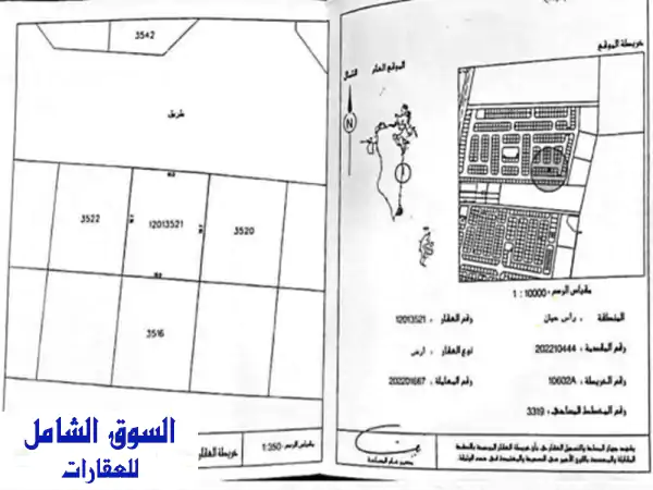 فرصة استثمارية ذهبية! أرض للبيع في راس حيان -...