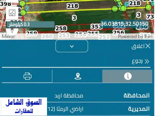 فرصة استثمارية ذهبية! أرض للبيع في الرمثا - 8...