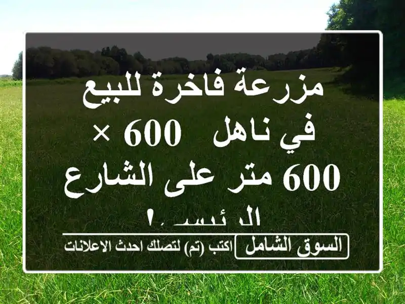 مزرعة فاخرة للبيع في ناهل - 600 × 600 متر على...