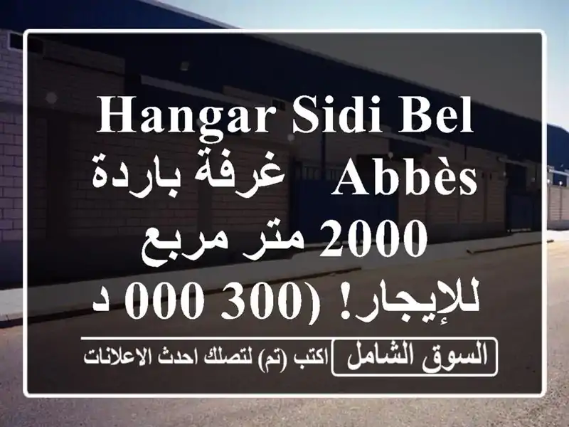 Hangar Sidi Bel Abbès - غرفة باردة 2000 متر مربع للإيجار! (300,000 دج)