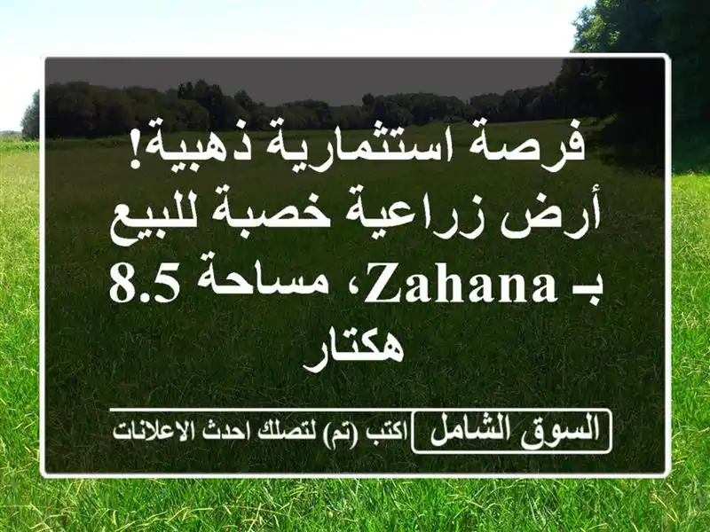 فرصة استثمارية ذهبية! أرض زراعية خصبة للبيع بـ Zahana، مساحة 8.5 هكتار