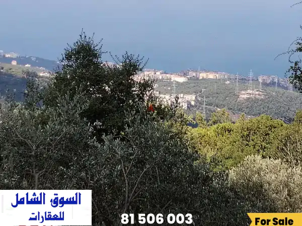 أرض للبيع في عاليه عيناب - إطلالة بحرية خلابة! 2130م²