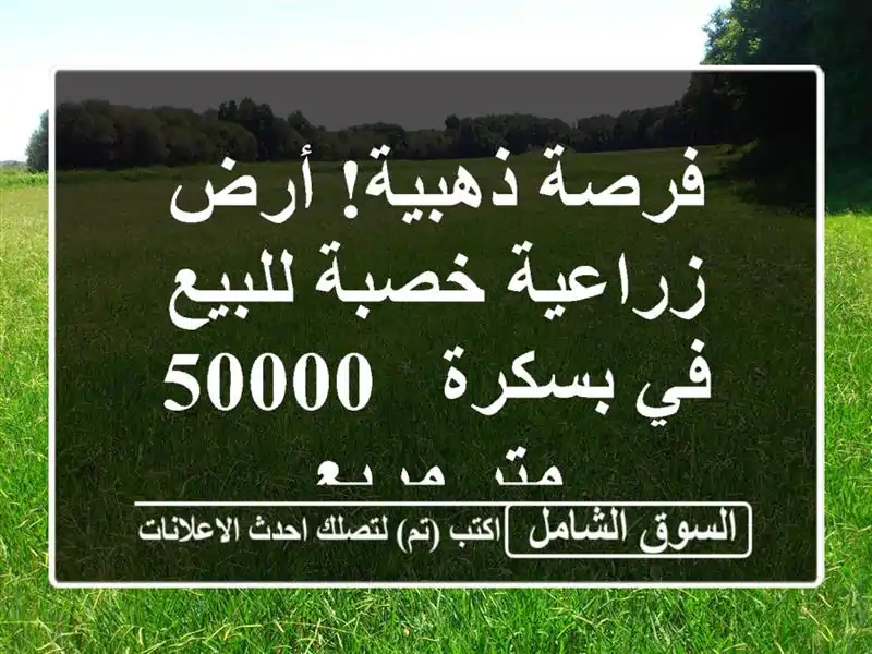 فرصة ذهبية! أرض زراعية خصبة للبيع في بسكرة - 50000 متر مربع
