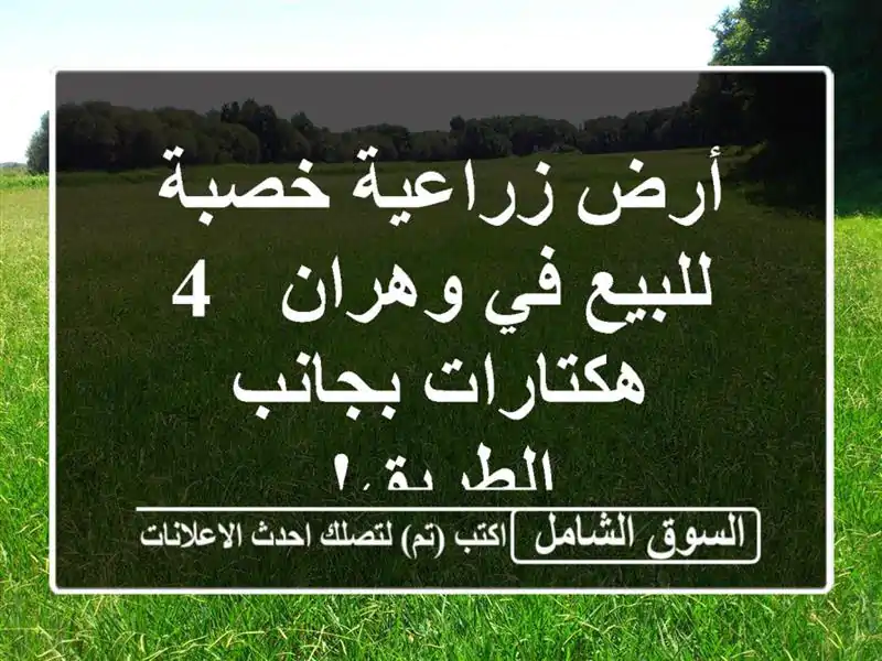 أرض زراعية خصبة للبيع في وهران - 4 هكتارات بجانب الطريق!