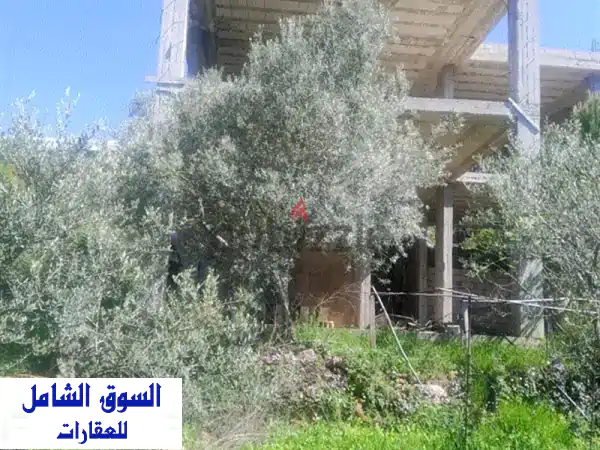 فرصة ذهبية! أرض فسيحة ببيت في منطقة الرملية، عاليه...