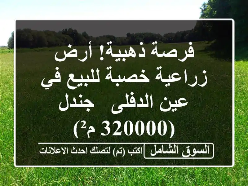 فرصة ذهبية! أرض زراعية خصبة للبيع في عين الدفلى -...