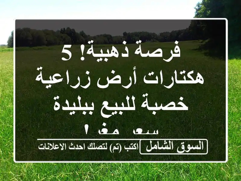 فرصة ذهبية! 5 هكتارات أرض زراعية خصبة للبيع ببليدة -...