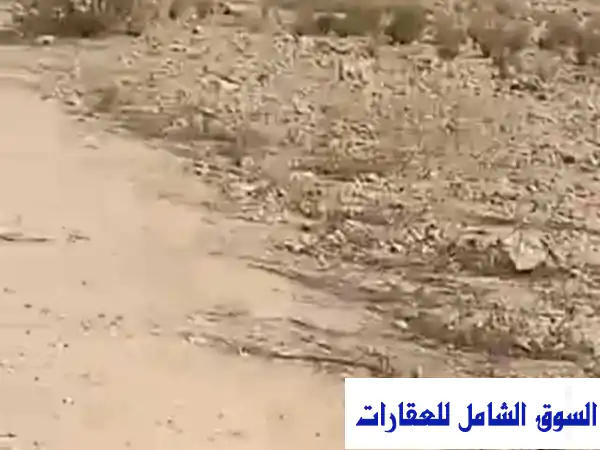 أرض زراعية خصبة للإيجار - طريق الكسارات النوبارية، الجديدة، البحيرة
