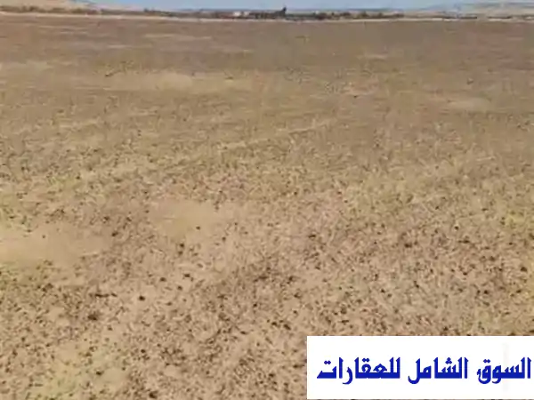 استثمر في واحة خصبة: 25 فدانًا زراعيًا مميزة...