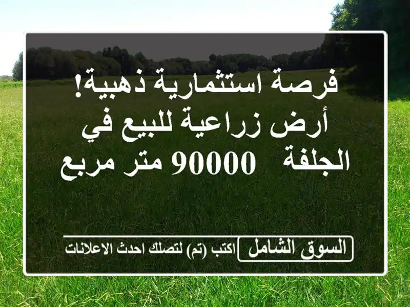 فرصة استثمارية ذهبية! أرض زراعية للبيع في الجلفة -...
