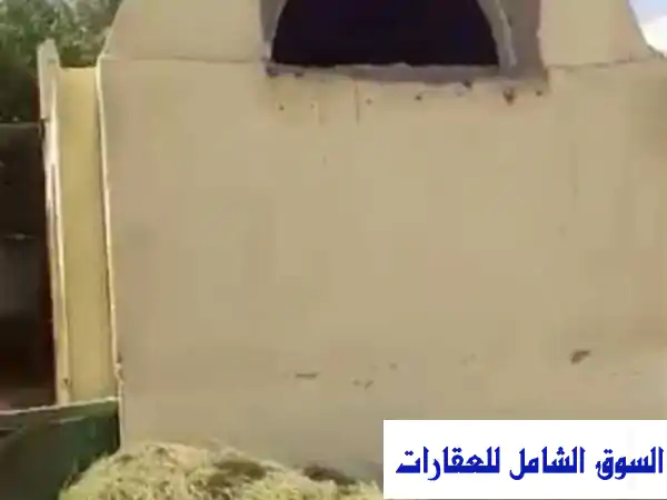 مزرعة فاخرة للبيع في وادي النطرون - 35 فدان، خيول عربية أصيلة، فرصة استثمارية مميزة!