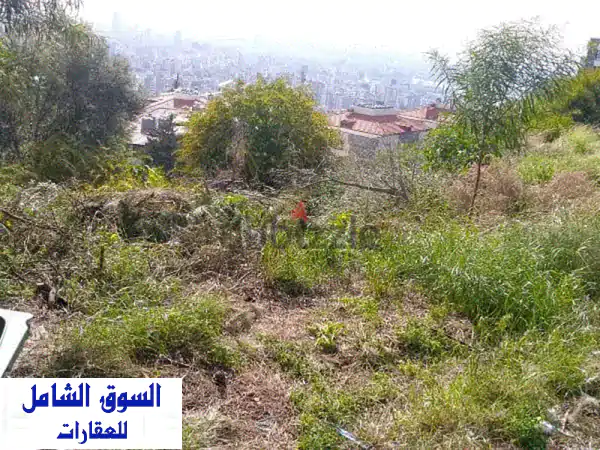 فرصة ذهبية! أرض للبيع في بياقوت - مساحة 2000م²،...