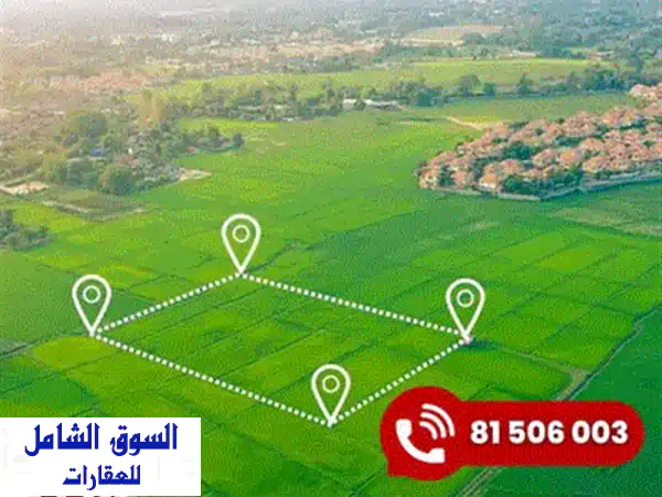 فرصة ذهبية! أرض للبيع في بياقوت - مساحة 2000م²، واجهة بحرية مميزة!