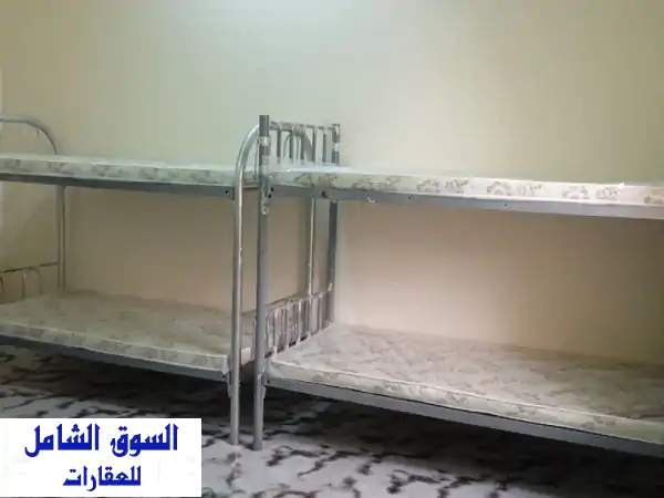 سكن شباب راقي في عجمان - موقع مميز بدون عمولة! (350/300 درهم)