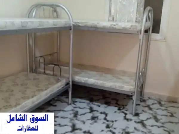 سكن شباب راقي في عجمان - موقع مميز بدون عمولة! (350/300 درهم)