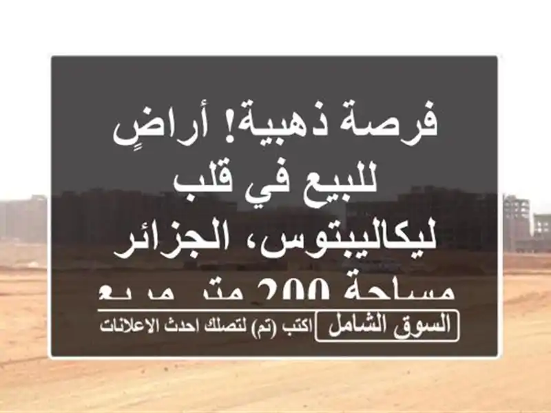 فرصة ذهبية! أراضٍ للبيع في قلب ليكاليبتوس، الجزائر...