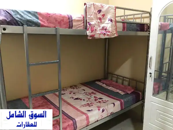 سكن فاخر للشباب في جميرا 1، دبي - 750 درهم...