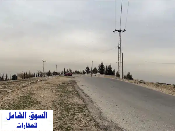 أرض استثمارية مميزة للبيع في شفا بدران - زينات الربوع (750 متر) - من المالك مباشرة!