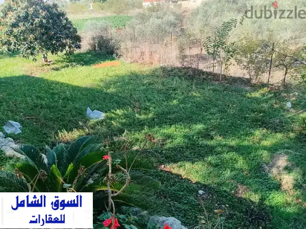 Nature