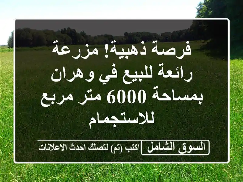 فرصة ذهبية! مزرعة رائعة للبيع في وهران بمساحة 6000...