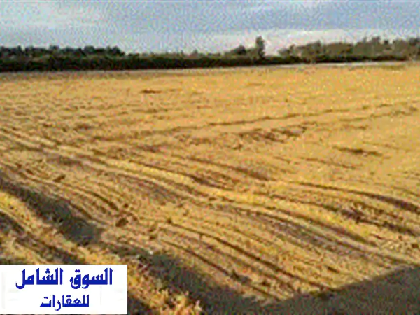 فرصة استثمارية ذهبية! أرض فضاء 1550م² بجوار عامر...