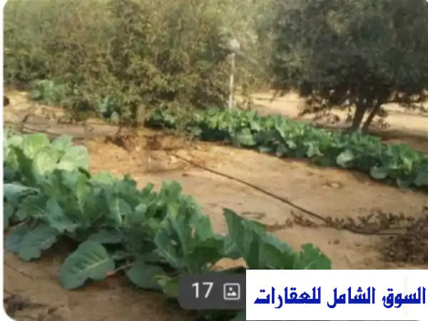 مزرعة فاخرة للبيع في كمبوند مميز بطريق مصر الإسكندرية الصحراوي - فرصة استثمارية ذهبية!