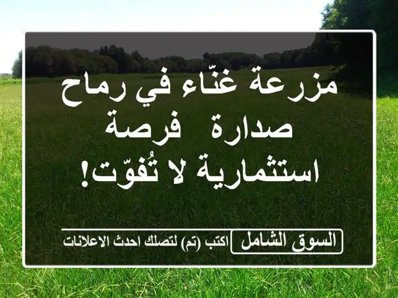 مزرعة غنّاء في رماح - صدارة - فرصة استثمارية لا تُفوّت!