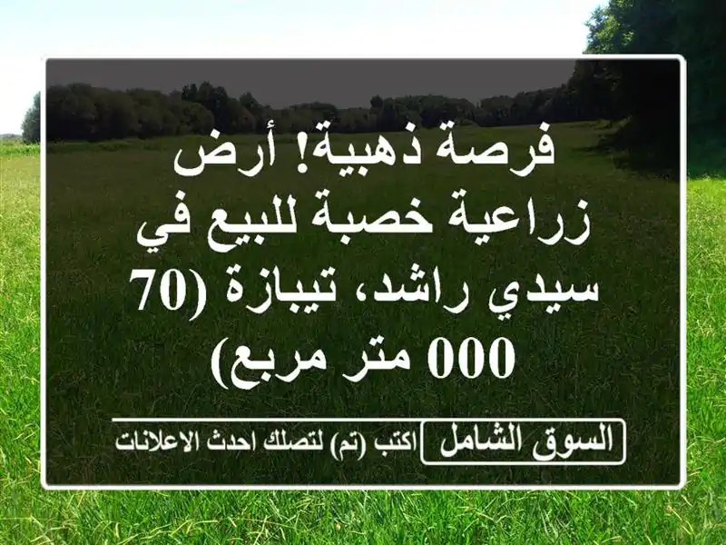 فرصة ذهبية! أرض زراعية خصبة للبيع في سيدي راشد،...
