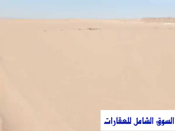 استثمر في واحة خصبة! 300 فدان للبيع في الباويطي، الواحات البحرية - فرصة ذهبية!