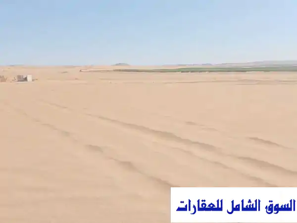 استثمر في واحة خصبة! 300 فدان للبيع في الباويطي،...