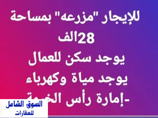 شبرة للإيجار - مساحة ضخمة 28,000 قدم مربع! طريق المطار...