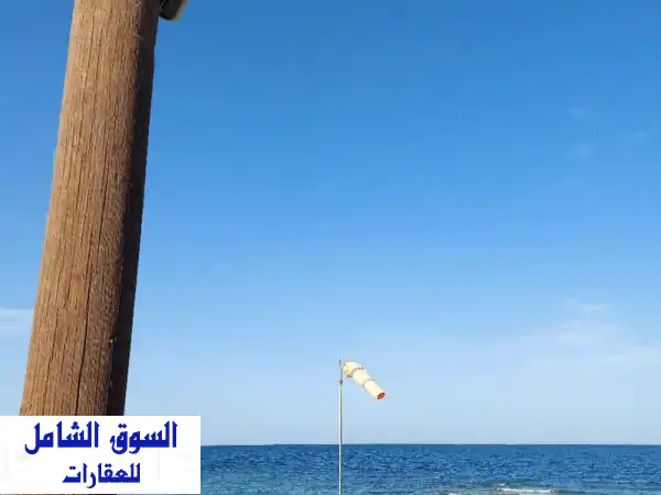 شاليهات أملاك الدولة (بنيدر والضباعية) | أسعار لا تُفوّت! ✨