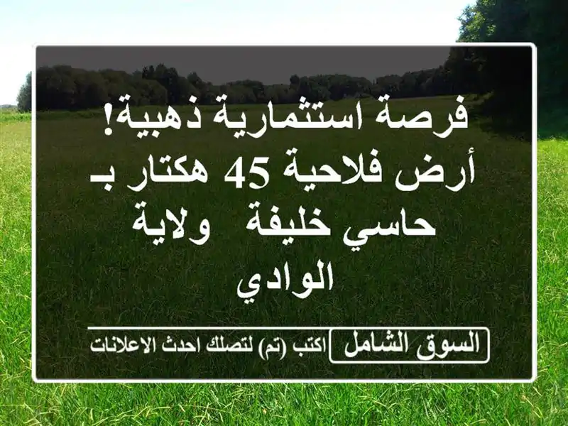 فرصة استثمارية ذهبية! أرض فلاحية 45 هكتار بـ حاسي...