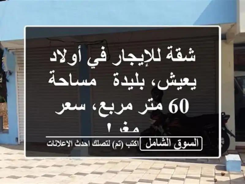 شقة للإيجار في أولاد يعيش، بليدة - مساحة 60 متر...