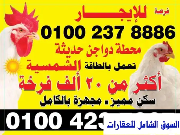مزرعة دواجن للإيجار - سعة 20,000 فرخة + طاقة شمسية -...