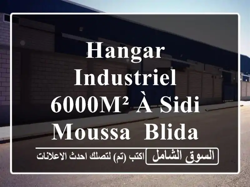 Hangar Industriel 6000m² à Sidi Moussa, Blida - Location Exceptionnelle!
