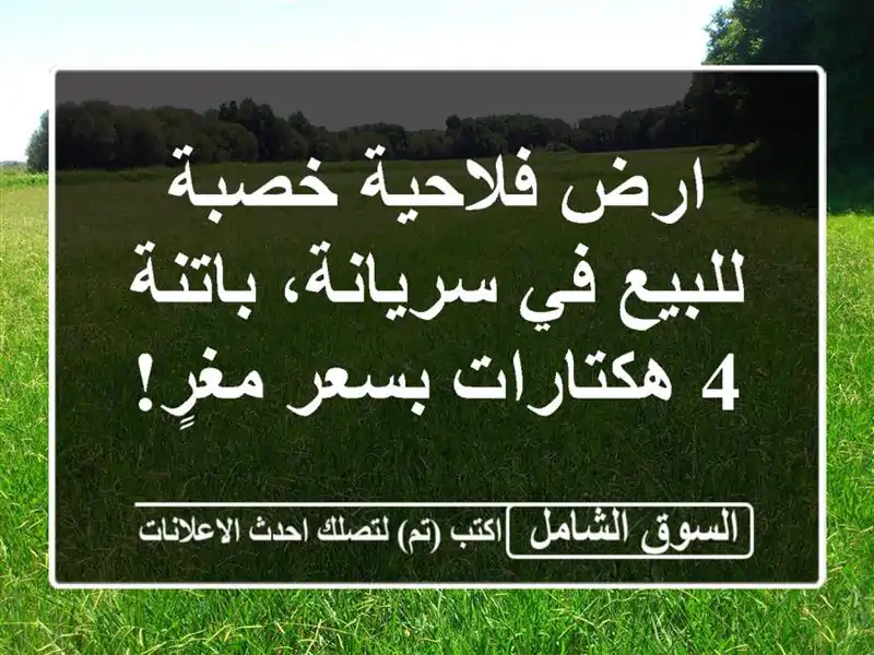 ارض فلاحية خصبة للبيع في سريانة، باتنة - 4 هكتارات...
