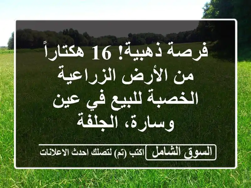 فرصة ذهبية! 16 هكتاراً من الأرض الزراعية الخصبة...