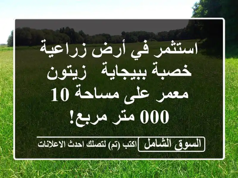 استثمر في أرض زراعية خصبة ببيجاية - زيتون معمر...