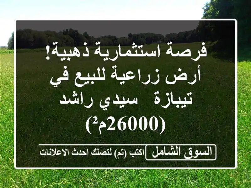 فرصة استثمارية ذهبية! أرض زراعية للبيع في تيبازة -...