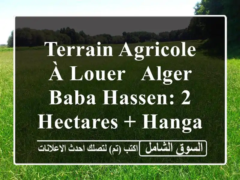 Terrain Agricole à Louer - Alger Baba Hassen: 2 Hectares + Hangars + Équipements!