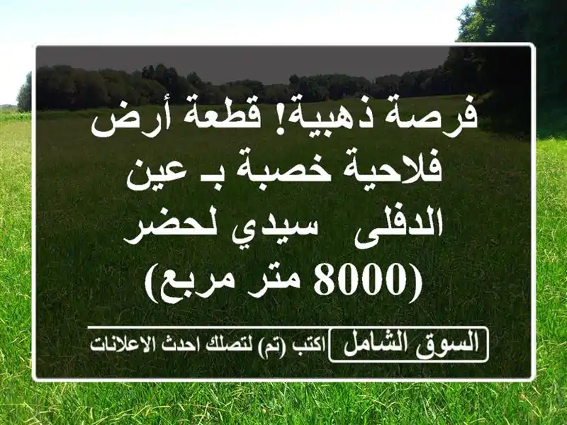 فرصة ذهبية! قطعة أرض فلاحية خصبة بـ عين الدفلى -...