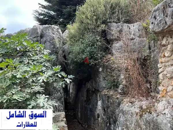 فرصة استثمارية ذهبية! أرض للبيع في قرنة الحمرا -...