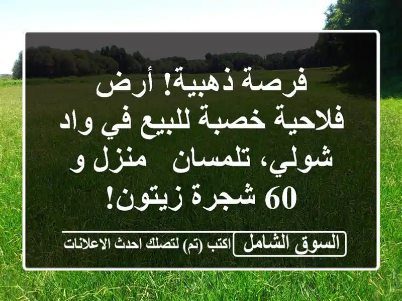 فرصة ذهبية! أرض فلاحية خصبة للبيع في واد شولي، تلمسان...