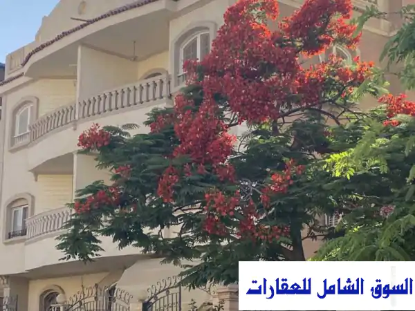 شقة ستوديو مفروشة بالتجمع الخامس - عرض عيد خاص!...